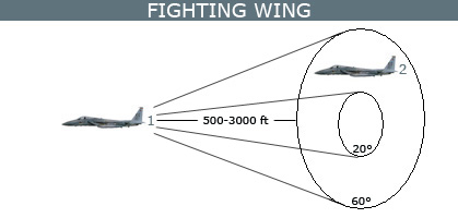 Fighting wing