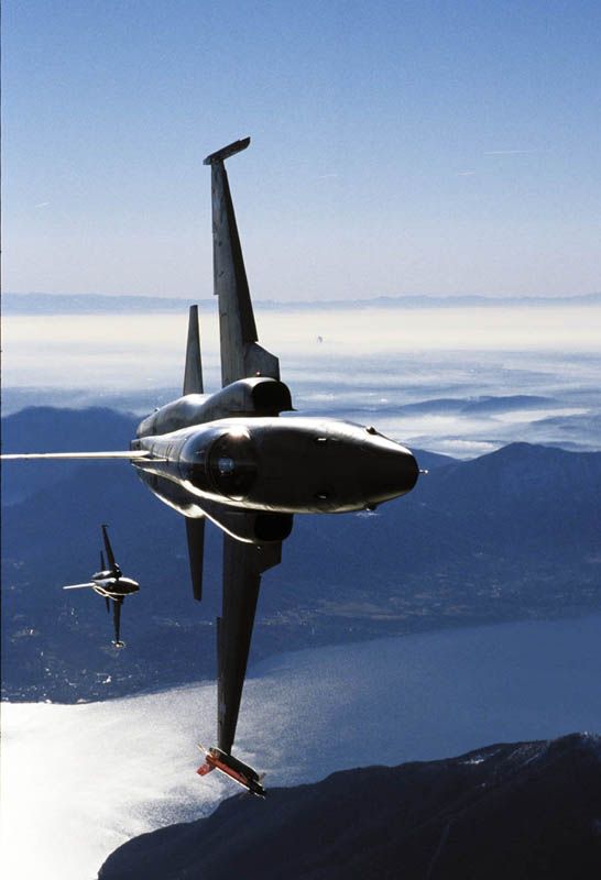 2 F-5E svizzeri