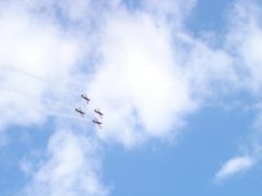 ROYAL JORDANIAN FALCONS