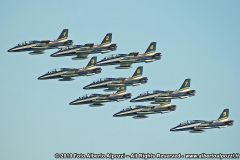 Frecce Tricolori Display (20)