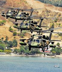 Black Hawks