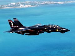 F-14 Tomacat Black