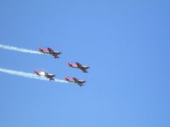 royal jordanian falcons