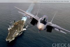 F-14 in flight