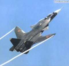 Su-47 al MAKS 2001