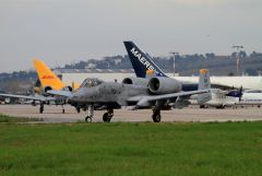 A-10 Thunderbolt II a Falconara 