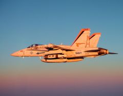 F/A-18 Hornet "Mighty Shrikes" (VFA-94)