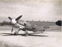 RAF Bf109-G6 immatricolazione VX101
