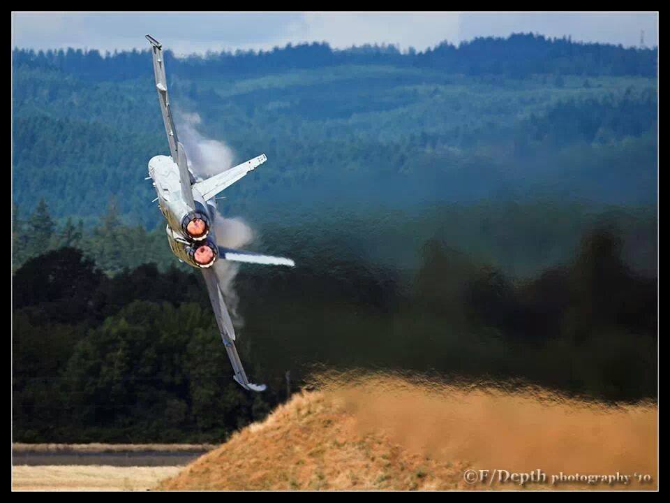 Hornet