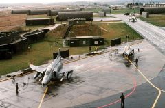 Wild Weasel & Fighting Falcon