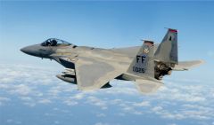 Maggiori informazioni su "F-15 Eagle"