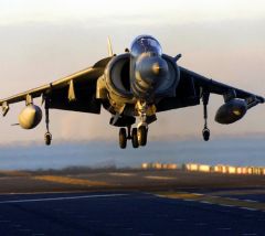 Harrier