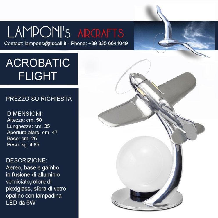 ACROBATIC FLIGHT.jpg