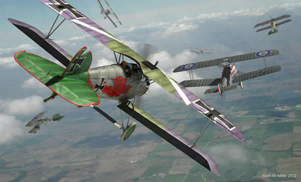 Albatros 01