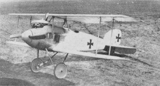 Albatros 02