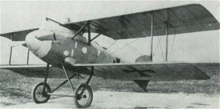 Albatros 03