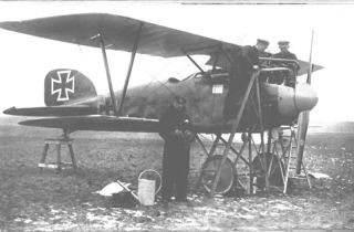 Albatros 04