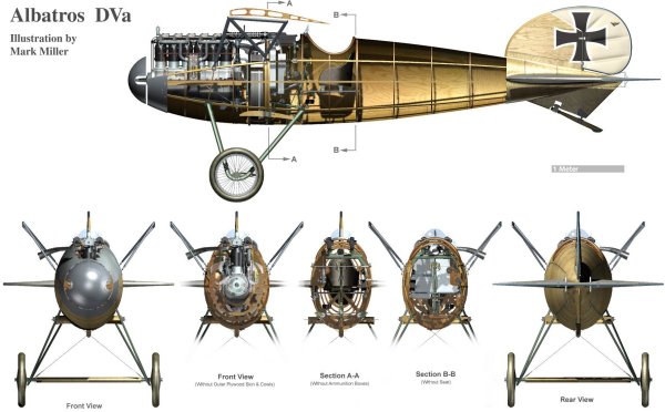 Albatros 07