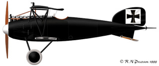 Albatros 13